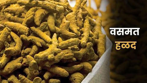 Wasmat Turmeric