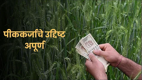 Crop Loan Update