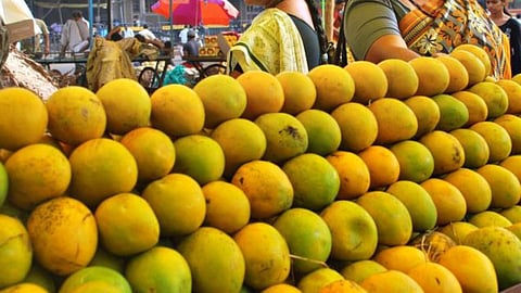 Mango Season