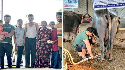 Shikhare Family Dairy Business