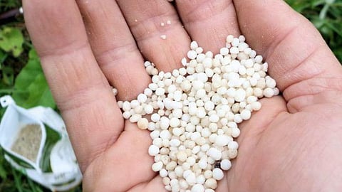 Agriculture Fertilizer