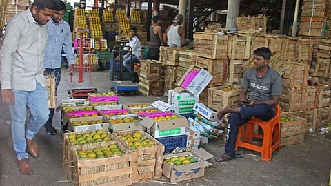 Kolhapur Market Rate
