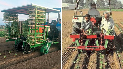 Vegetable Replanting Machine