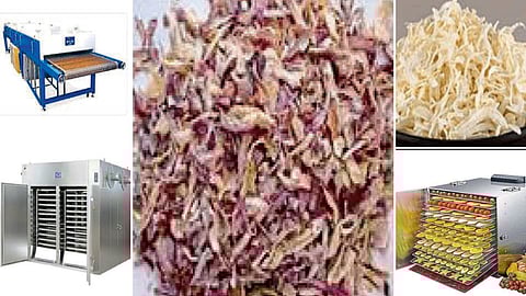 Onion Dehydration Process