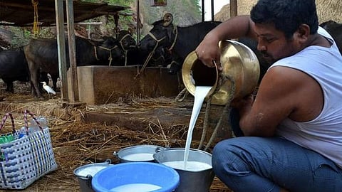 Milk Rate Government