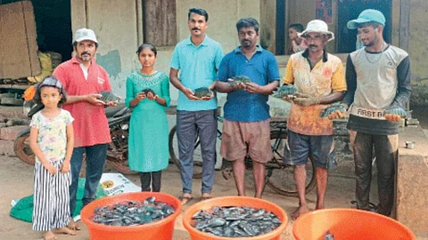 Aquaculture Business