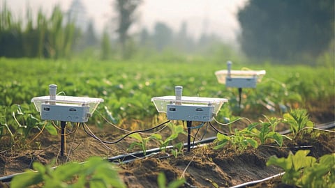 Smart Irrigation