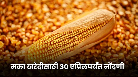 Maize Registration