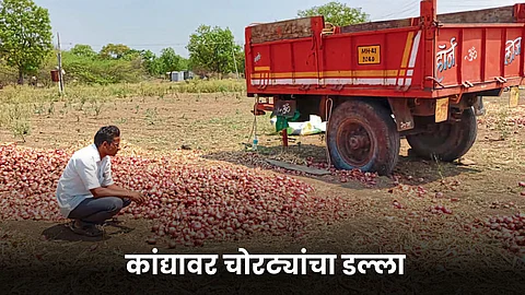 Onion Theft