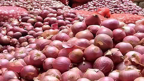 Onion Export Ban