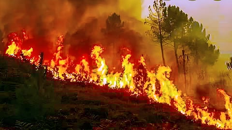 Uttarakhand Forest Fire