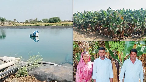 Agriculture