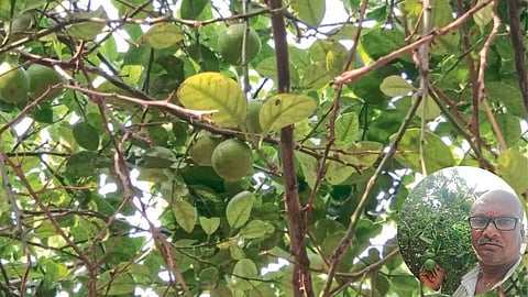 Climate Change Issues