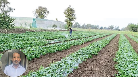 Navnath Deshmukh and Melon Farm