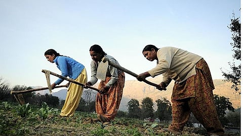 Gopinath Munde Scheme