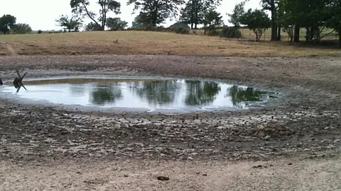 Agriculture Pond