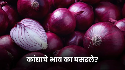 Onion Rate