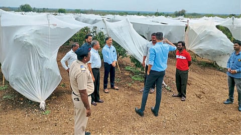 Collector Kumar Ashirwad