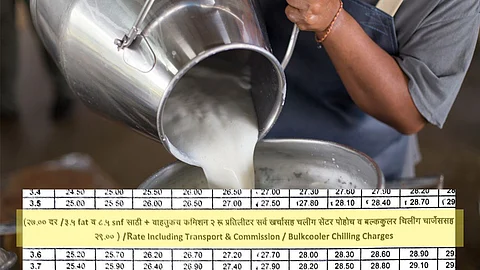 Milk rate