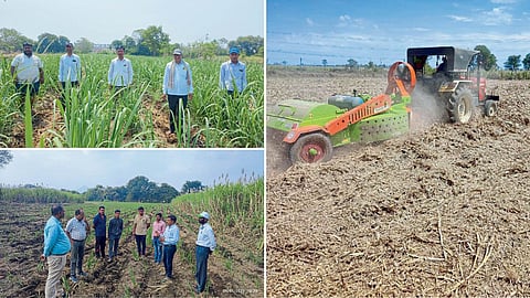 Agriculture