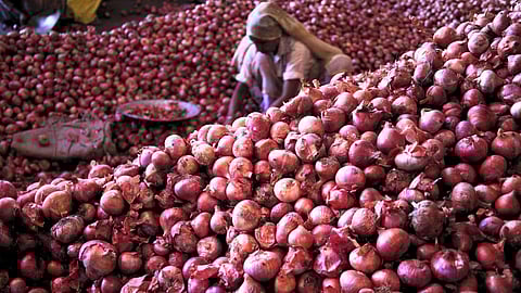 Onion Market
