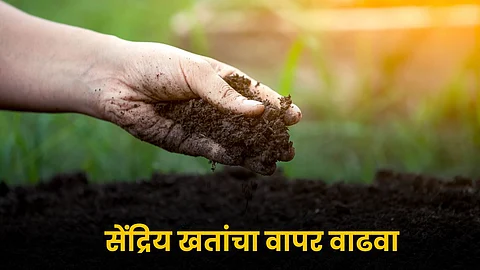 Organic Fertilizers