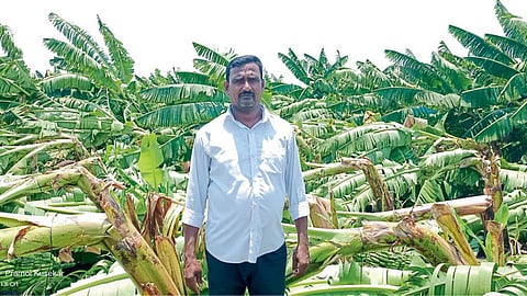 Crop Damage