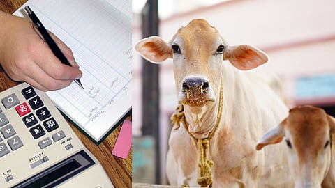 Dairy Record Keepnig