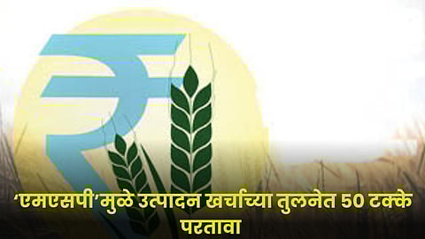 MSP Cost of Production Return