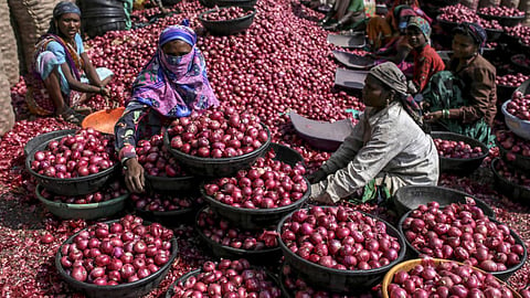 Onion Market