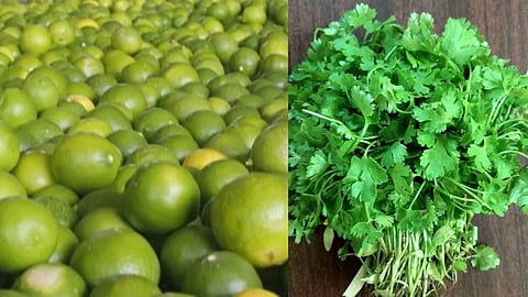 Kolhapur Market Update