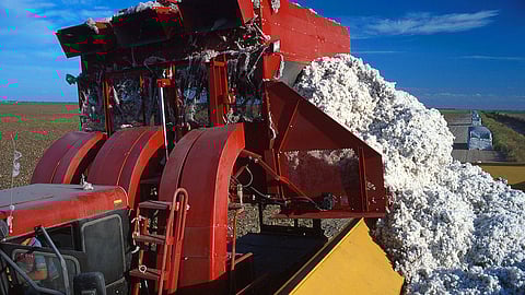 Cotton Ginning Machine