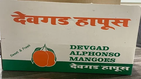 Devgad Hapus
