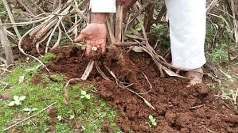 Agriculture Department