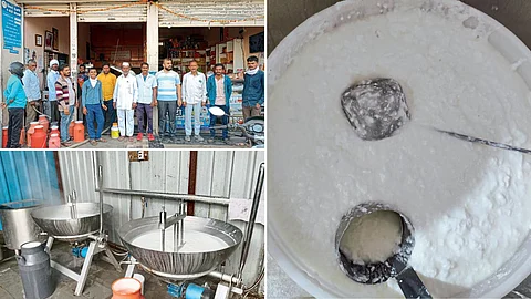 Dairy Business