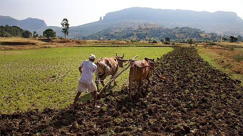 Indian Agriculture
