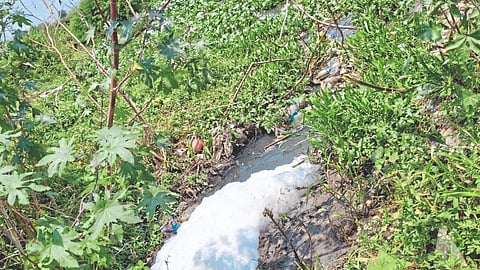 Panchaganga Pollution
