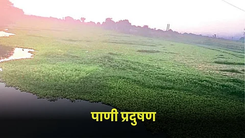 Water Pollution