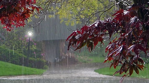 Weather Update