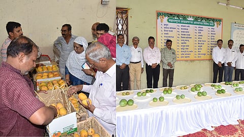 Mango Festival Kolhapur