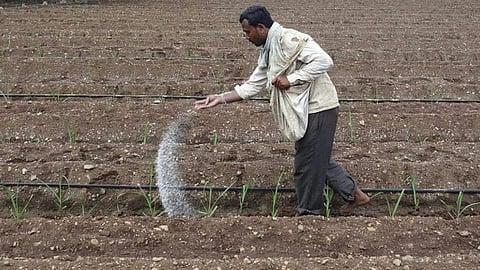 Chemical Fertilizer