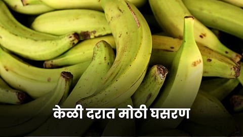 Banana Market