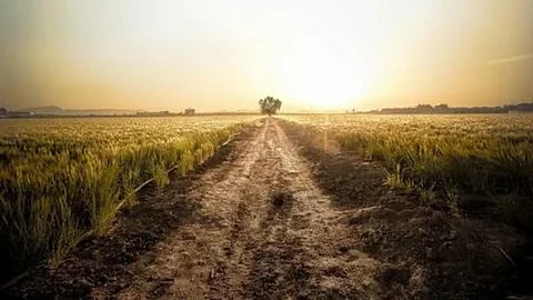 Agriculture Land
