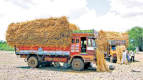 Fodder Shortage Update