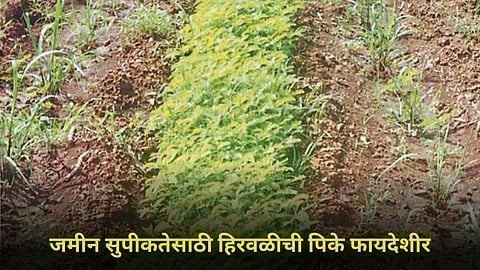 Soil Fertility