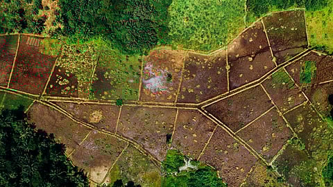 Agricultural Land Transactions