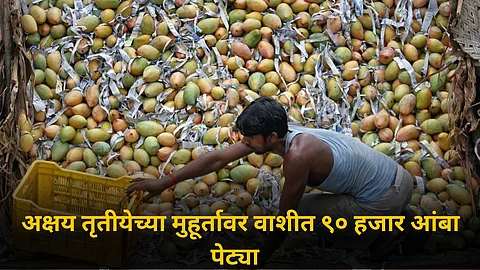 Mango Market