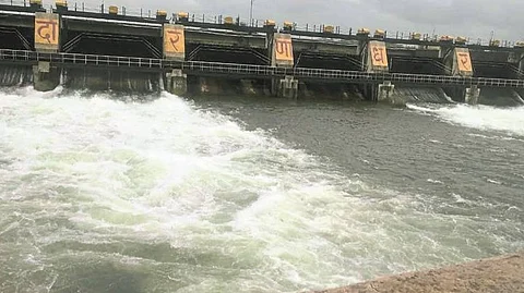 Dam stock