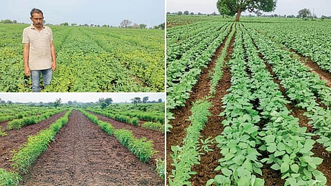 Chandrashekhar Mali