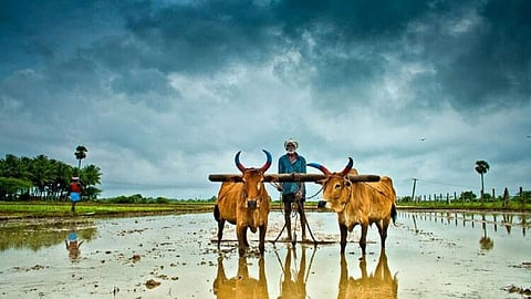 Indian Agriculture
